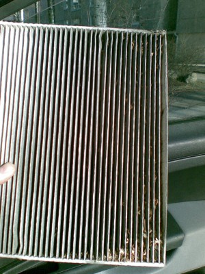 01052010.jpg (367.27 КБ) Просмотров: 2075 01052010.jpg