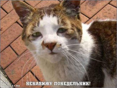 1620126.jpeg