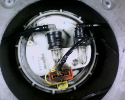 IMG0272A.jpg