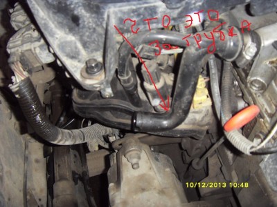 SDC12321.JPG