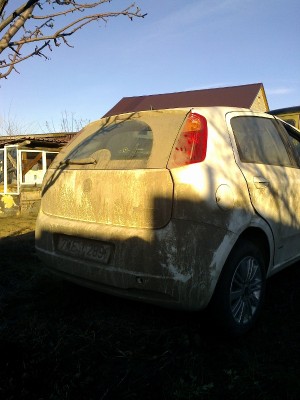 Фото0008 (600x800).jpg (320.07 КБ) Просмотров: 9595 Фото0008 (600x800).jpg