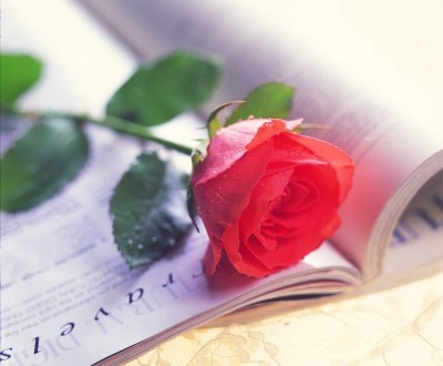 indexн6н.php.jpg (45.44 КБ) Просмотров: 1358 indexн6н.php.jpg